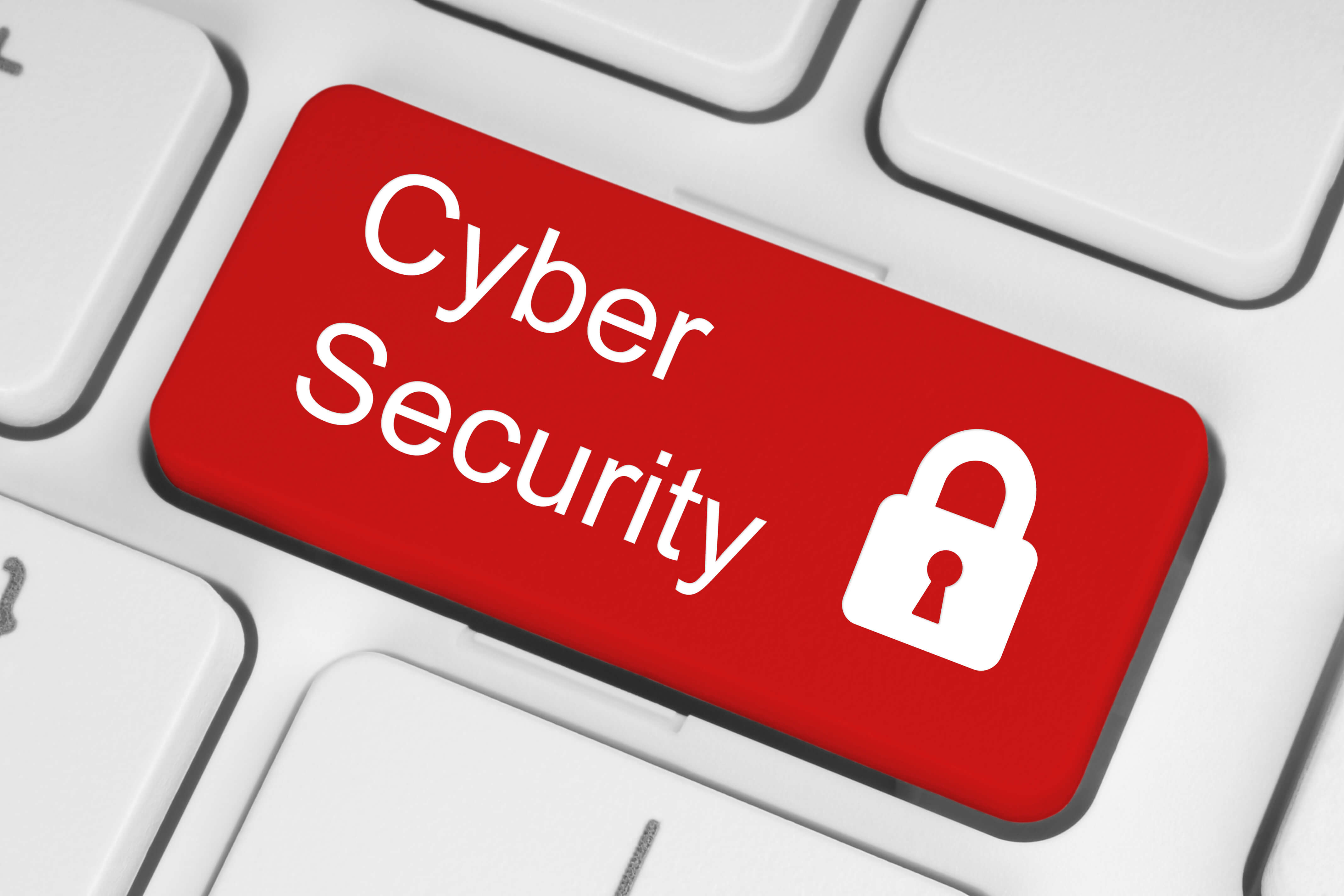 cyber security for small business