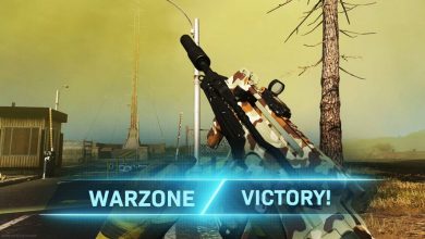 Win Warzone Solo Matches