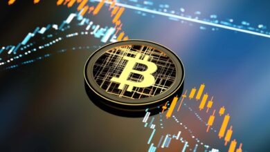 Huge Losses to Bitcoin Investors in the Crypto Crash