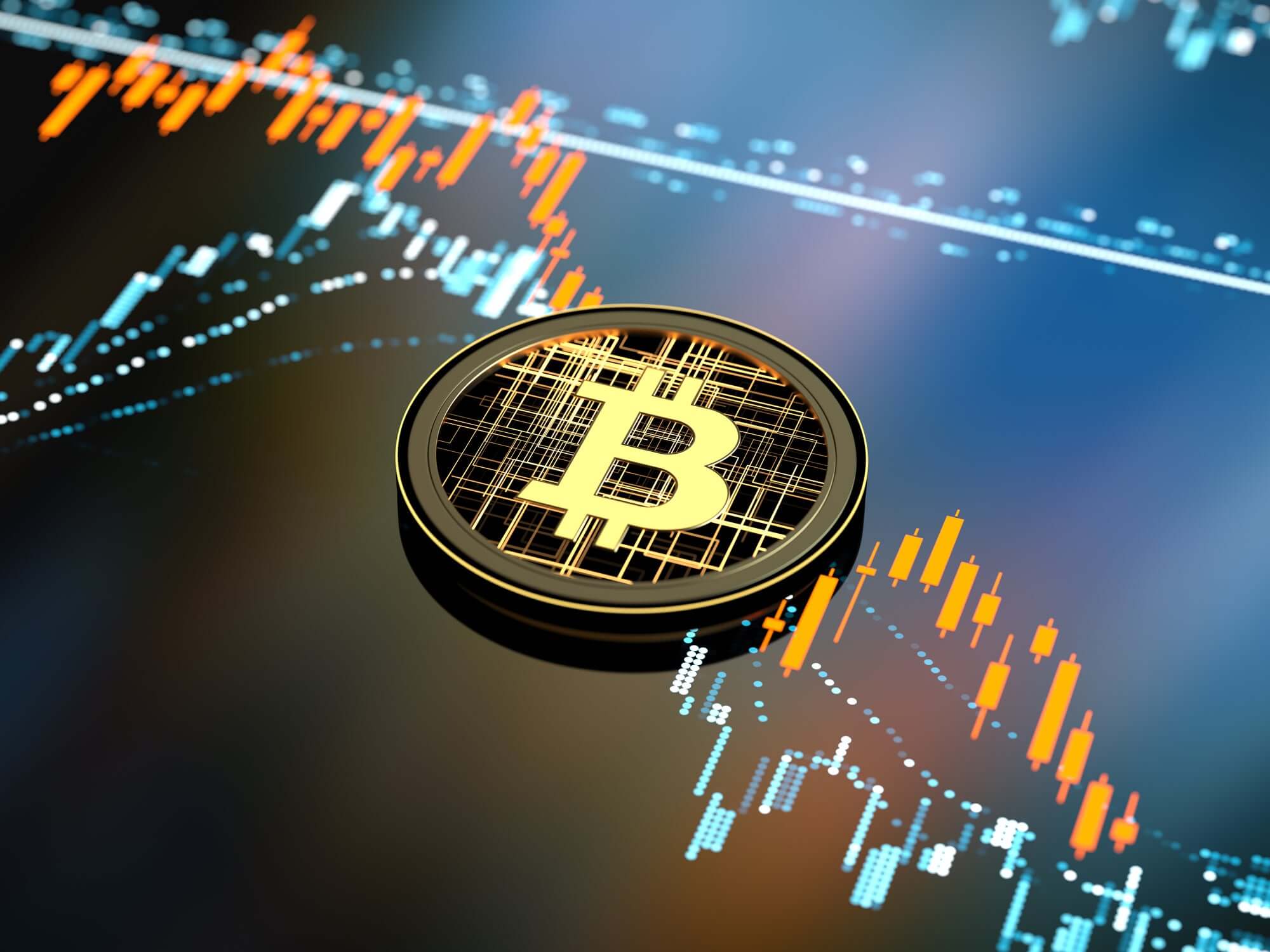 Huge Losses to Bitcoin Investors in the Crypto Crash