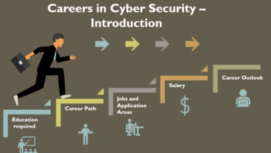 Career in Cybersecurity