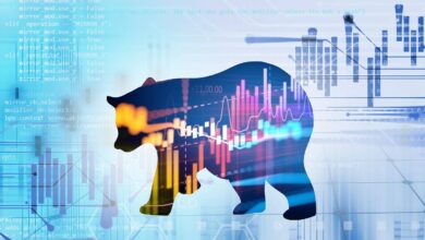 ways to survive a crypto bear market
