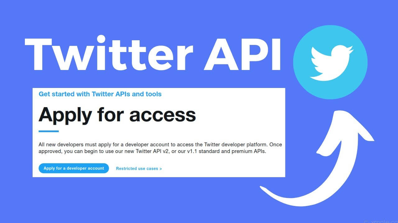 twitter API access