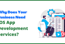 iOS App Development Services