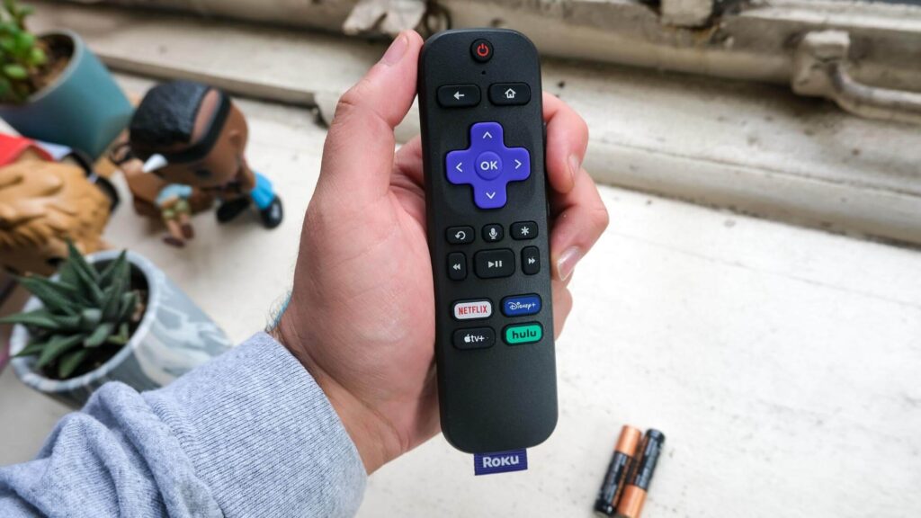 Roku not Working