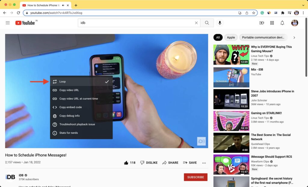 Loop YouTube Videos