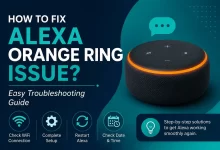 Alexa Orange Ring Issue