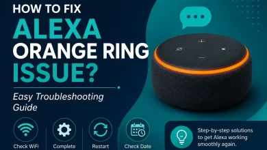 Alexa Orange Ring Issue