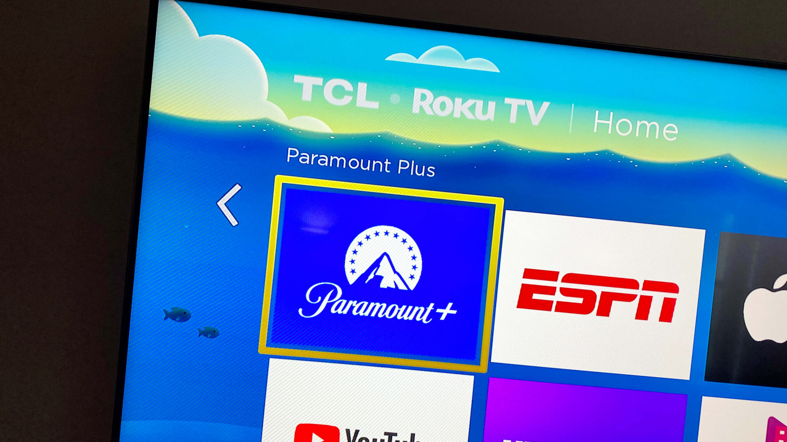 Paramount Plus/Roku