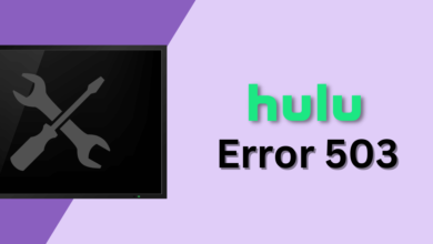 Hulu error code 503