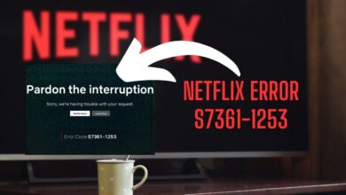 Netflix Error Code s7361-1253