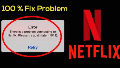 Netflix Error 1011