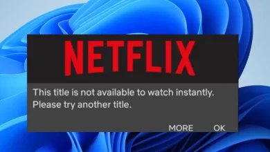 Netflix Not Loading Titles