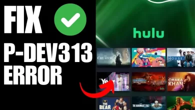 Hulu Error Code P-DEV313