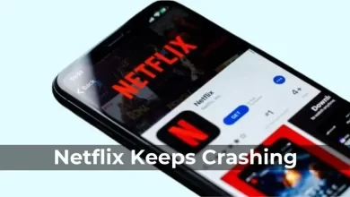 Netflix App Crashes