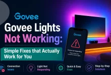 Govee Lights Not Working