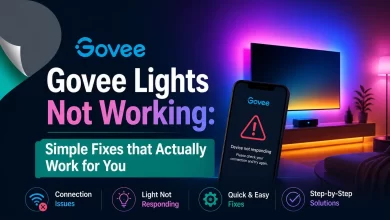 Govee Lights Not Working